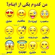 کدومو بهم میدین