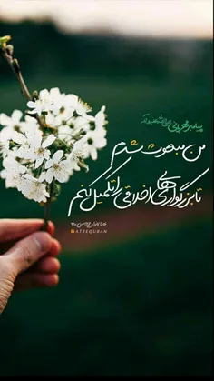 🌹پیامبر مهربانی صلی الله علیه و آله و سلم🌹 #مهربان_باشیم 