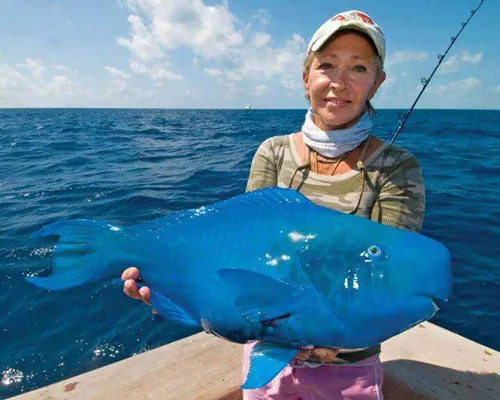 آبی ترین ماهی دنیا