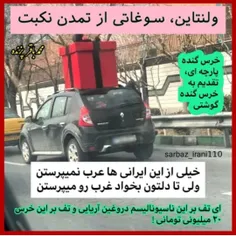 🐼 ولنتاین، سوغاتی از تمدن نکبت