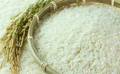 برای طعم گرفتن برنج‌های بدون عطر می‌توانید هنگام خیس کردن
