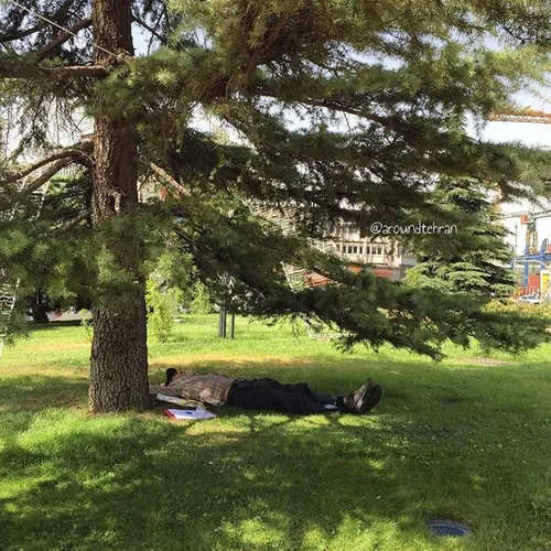 Havng a nap under the tree at the Vanak sq | 8 July '15 |