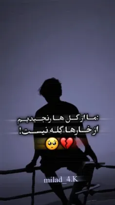 فالو کنید 