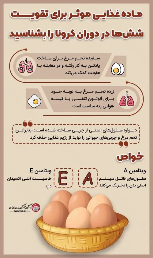 ماده غذایی موثر برای تقویت شش ها در دوران کرونا را بشناسی