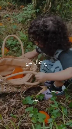 پرتقال من... 