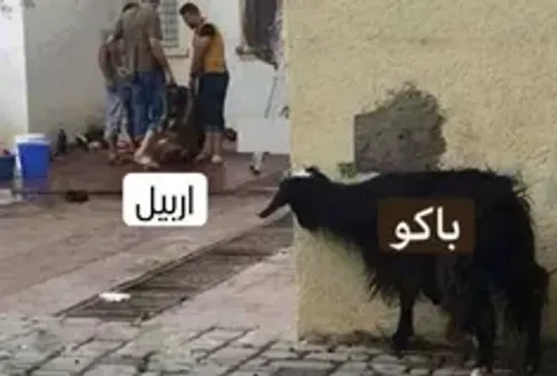 هیچی دیگه گفتم این اینجا باشه تا به وقتش. 🐑😂