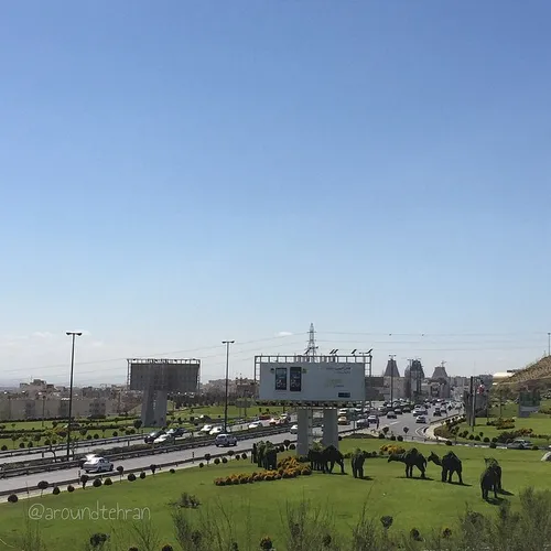 The Hakim motorway and the planted camels seen from the P