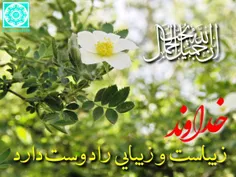 خدا زیباست و زیبایی را دوست دارد