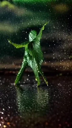 #Dance_in_rain