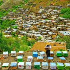 #کردستان ، روستای زیبای نِیَر