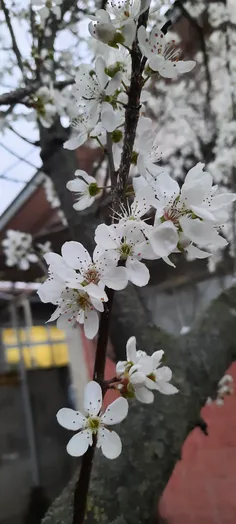 🌙 تنهایی را دوست ندارم،