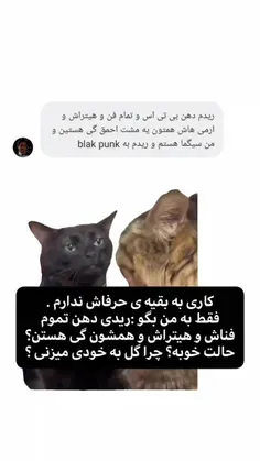 گل به خودی زد