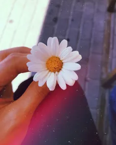 🌸#دخترونه🌸