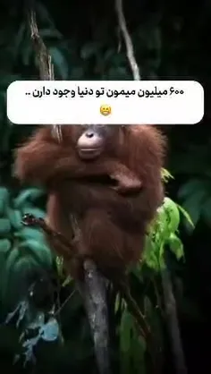 ها ها ها😂