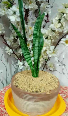 کیک گلدانی
