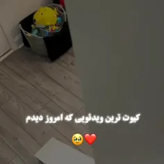 این اگه پیش من بود میخوردمش😍🥹