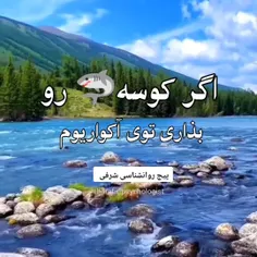 موفقیت تو به محیط و آدمای اطرافت خیلی بستگی داره