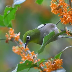 یــ‌ه عکـس با کلـی حـال خوبـــ و انــرژی مثبتـــ💚