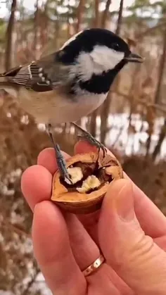 خدایا همینطوری یهویی شکرت