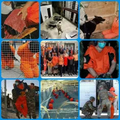 وقاحت نارنجی ...
بزرگترین ناقض حقوق بشر شده بزرگترین طلبکار حقوق بشر(تصویر زندان گوانتانامو یکی از بیشمار جنایات امریکا)