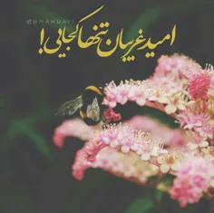 🎀 🍃  #زیــنـبـیــــون🍃 🎀 