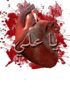 قلب هر شیعه علی(ع) ، به عشق مولایش می تپد ...
