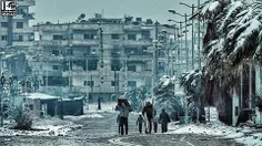 حمص / سوریه/ پنج روز پیش