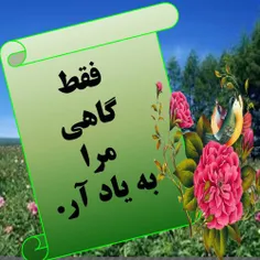 هرگز عشق را گدایی نکن