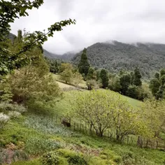 طبیعت فوق العاده زیبای استخرگاه 😍