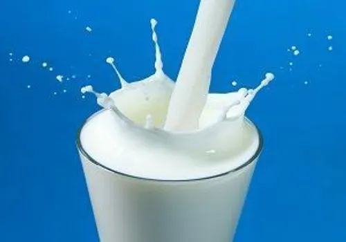 شیر کم چرب شما را از چاقی نجات می دهد و مصرف آن مانند آب 