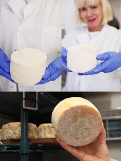 عجیب ترین پنیر جهان پنیری بنام "selfmade" 