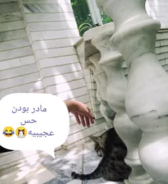 امیدوارم تجربش کنید (تشویق به فرزند آوری) 😂😂