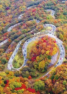 بهترین جاده ایران از لحاظ سرسبزی