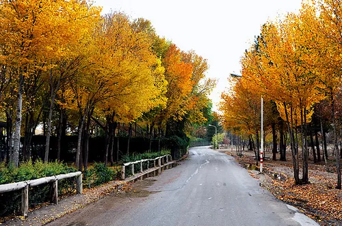 پارک جنگلي ناژوان اصفهان در پاييز
