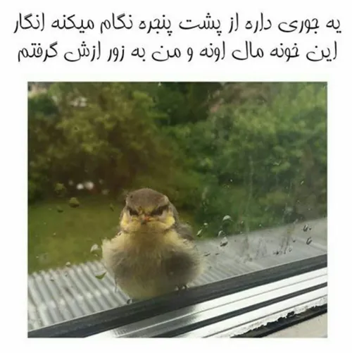 ای خداااا 😝😝😅