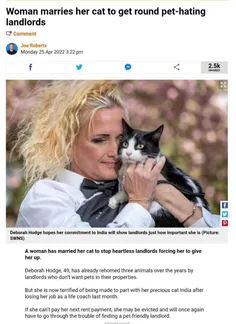 یک زن انگلیسی با گربه خودش ازدواج کرد