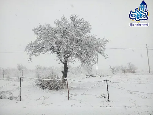 🌨 هم اکنون🌨