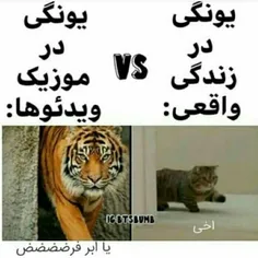 یکی به من بگه چطوری زمین تا اسمون فرقشونه