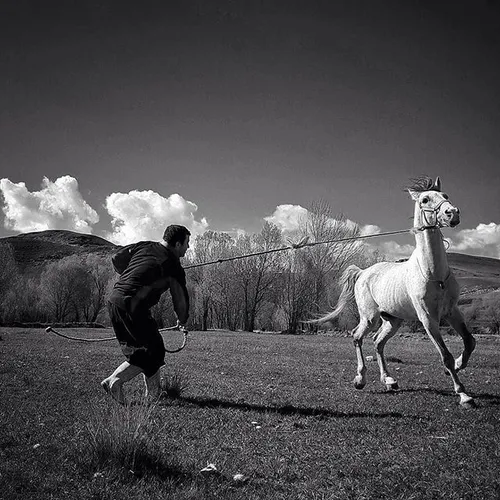 A man training a horse at a field in Ardabil, Iran. Photo