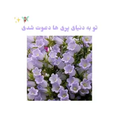 تو به دنیای پری ها دعوت شدی‌🌻