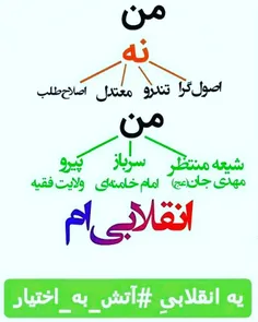 من یک انقلابی ام