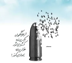 از هر گلوله یک پرنده کشته میشود و هزار پرنده پرواز میکند.