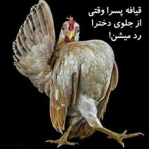 چه بحال