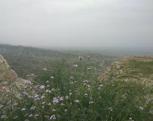 طبیعت زیبا جای همگی خالی