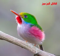 وقتی خدا دست به قلم می‌شود 👌 