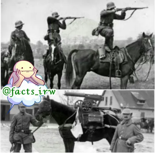 "در جنگ جهانی اول از اسب ها به عنوان سواره نظام استفاده ش