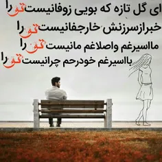 عاشقانه ها ebimoghavemi51 19542726