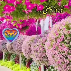 پیشاپیش سال نوی همگی مبارک❤🌹🌹🌹🌹🌹