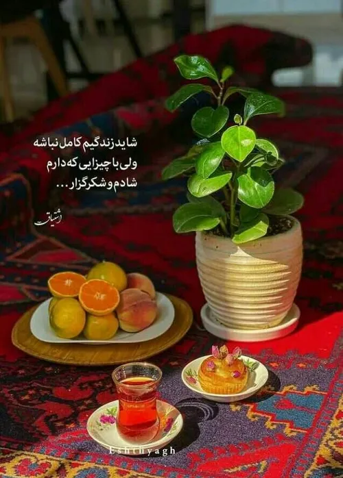 خـــــ❤ــدایا شکـــــــــرت ....🌱