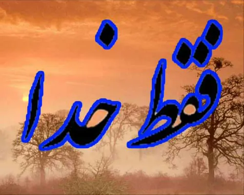 گوناگون alijoooon........... 20493788 - عکس ویسگون